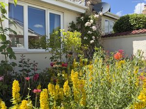 Front Garden- click for photo gallery